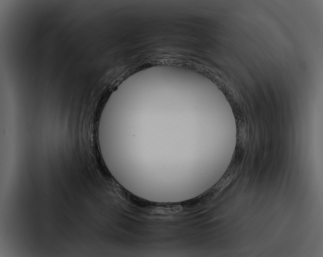 X0000088150571200705141054
