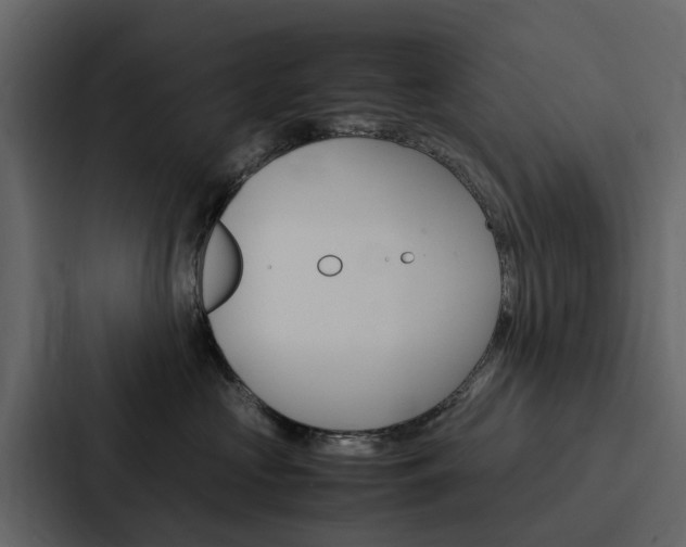 X0000088150573200705141054