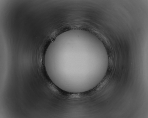 X0000088150574200705141054