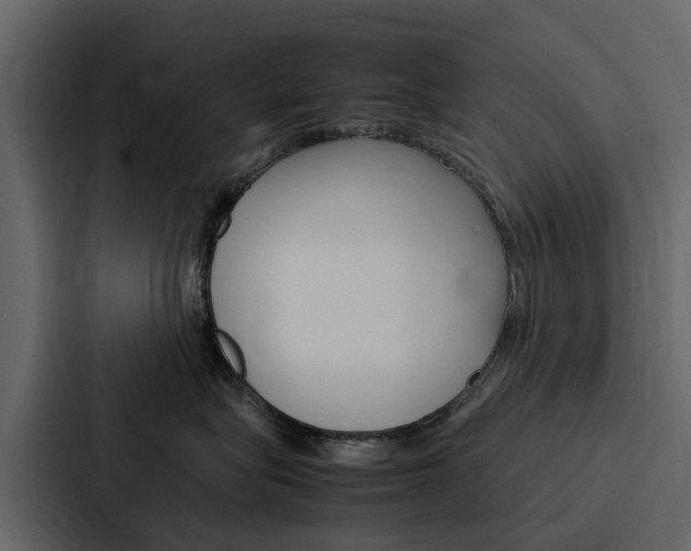 X0000088150575200705141054