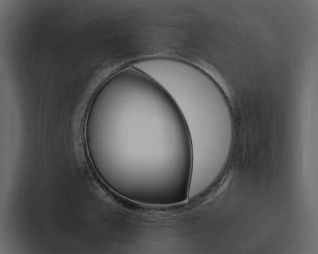 X0000088150577200705141053