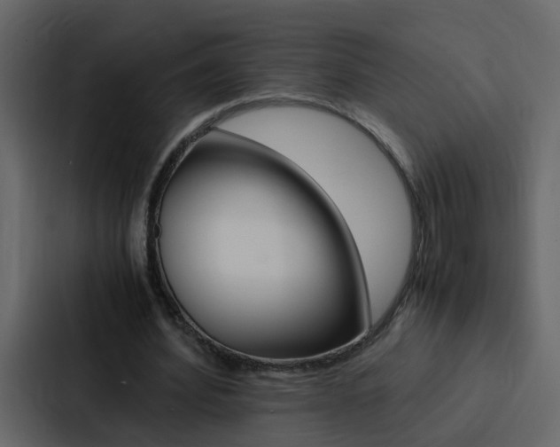 X0000088150580200705141053
