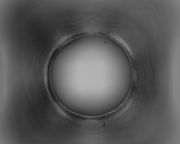 X0000088150581200705141053