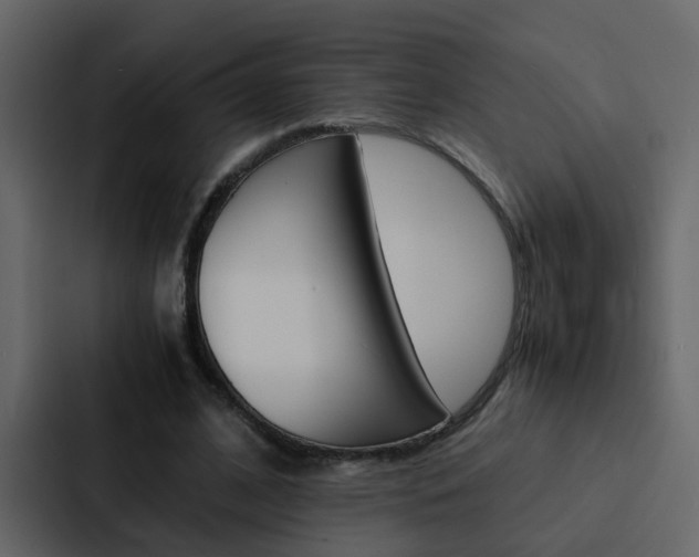 X0000088150584200705141053