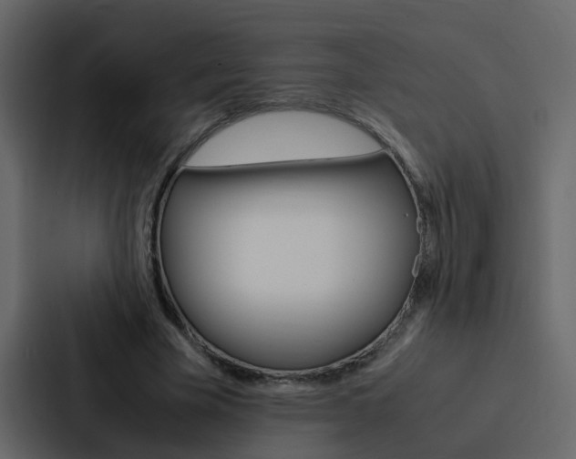 X0000088150585200705141053