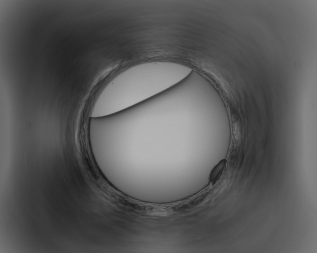 X0000088150587200705141053
