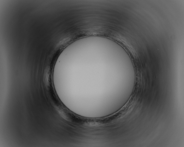 X0000088150590200705141053