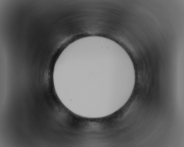 X0000088150592200705141053