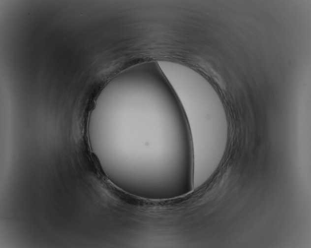 X0000088150593200705141053