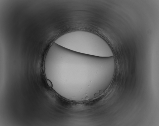 X0000088150594200705141053