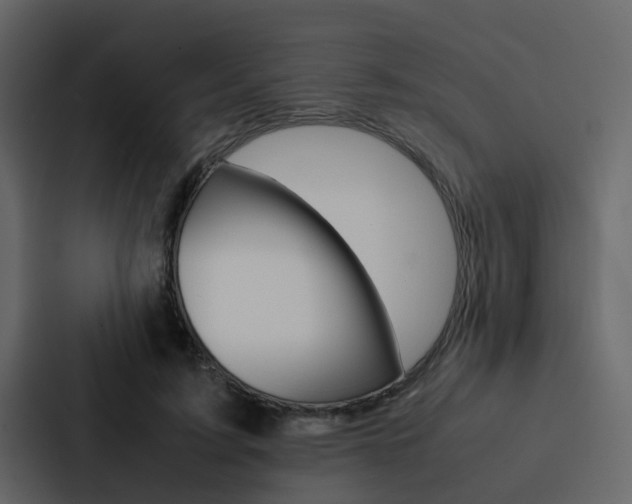X0000088150595200705141053