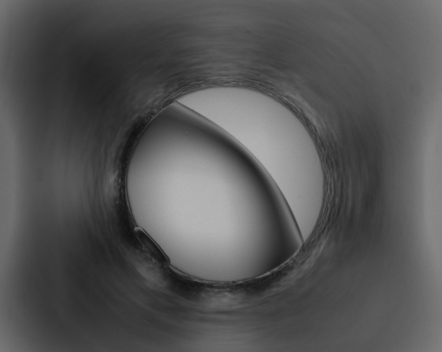 X0000088150597200705141053