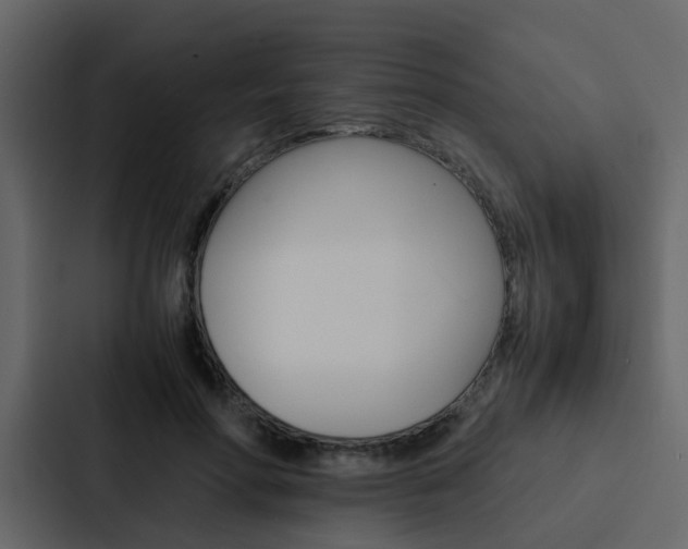 X0000088150598200705141053