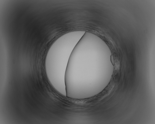 X0000088150599200705141053