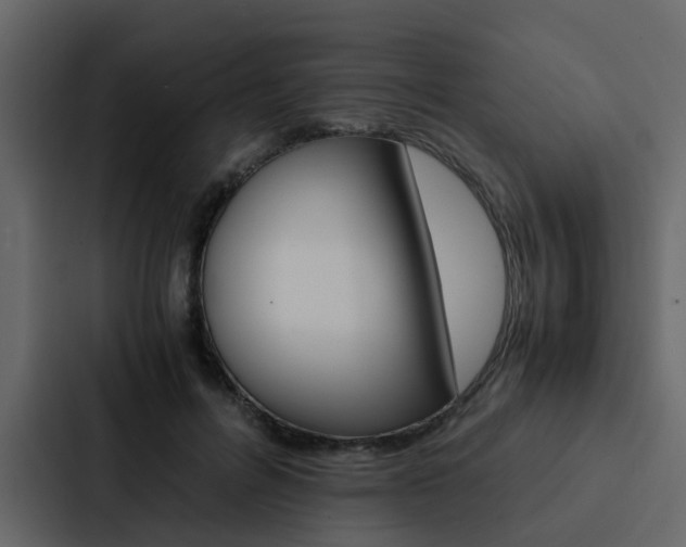 X0000088150600200705141053