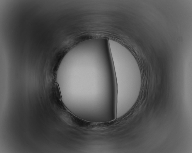 X0000088150601200705141053