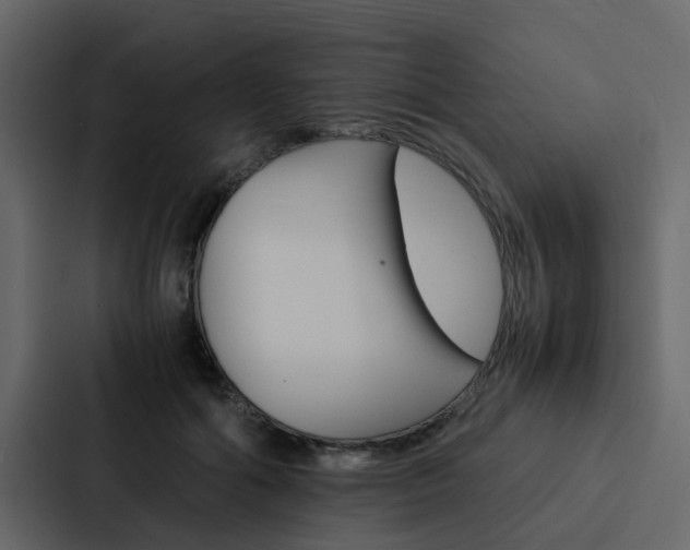 X0000088150602200705141053