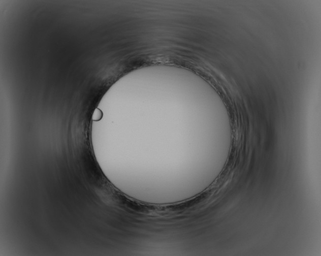 X0000088150603200705141053