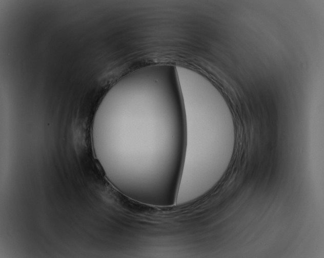 X0000088150604200705141053