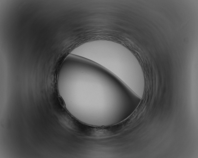 X0000088150605200705141053