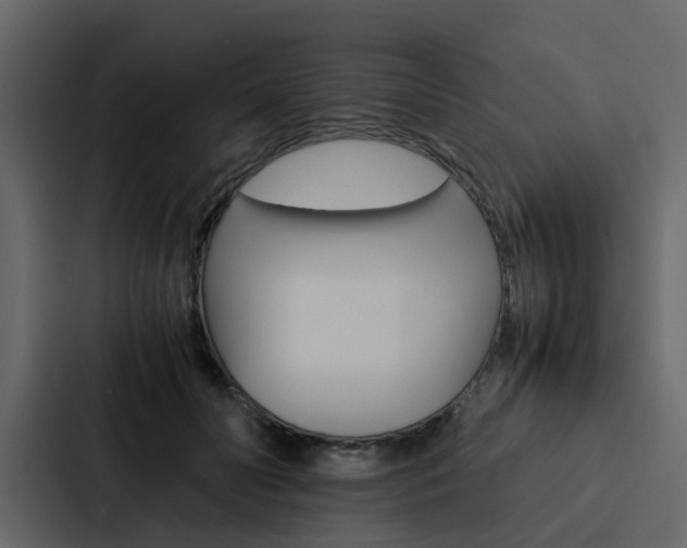 X0000088150606200705141053