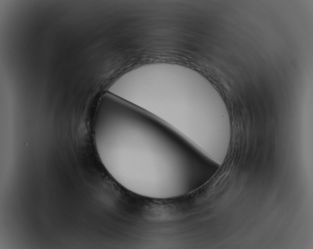 X0000088150608200705141053
