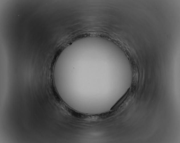 X0000088150609200705141053