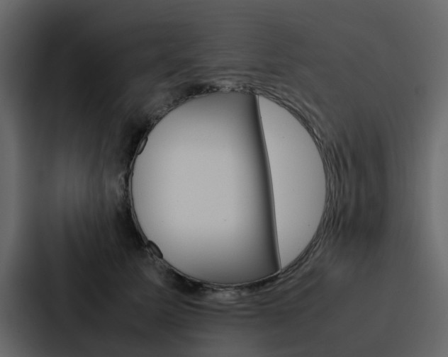 X0000088150611200705141053