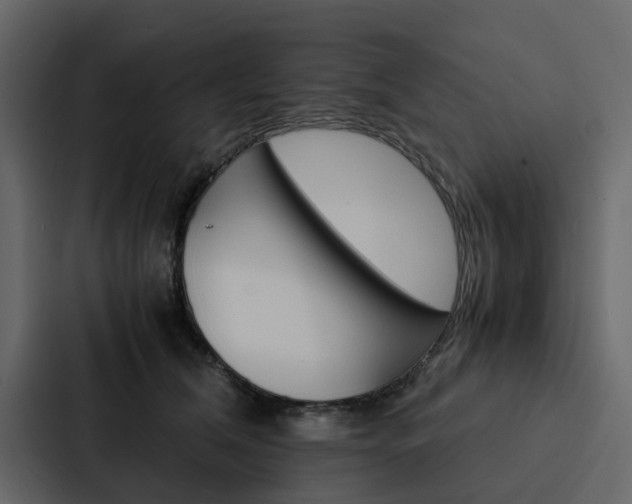 X0000088150612200705141053