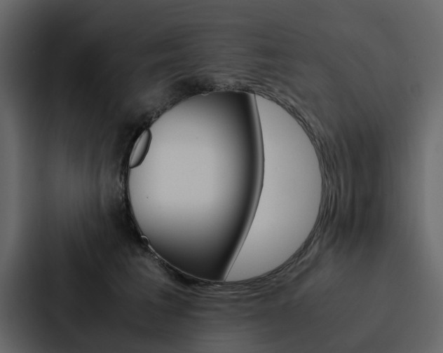 X0000088150613200705141053