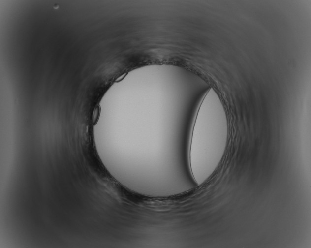 X0000088150615200705141053