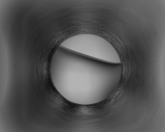 X0000088150616200705141053