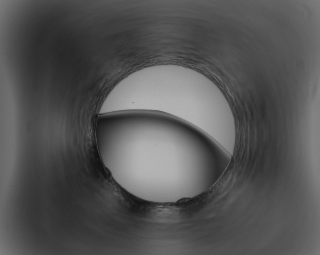 X0000088150617200705141053