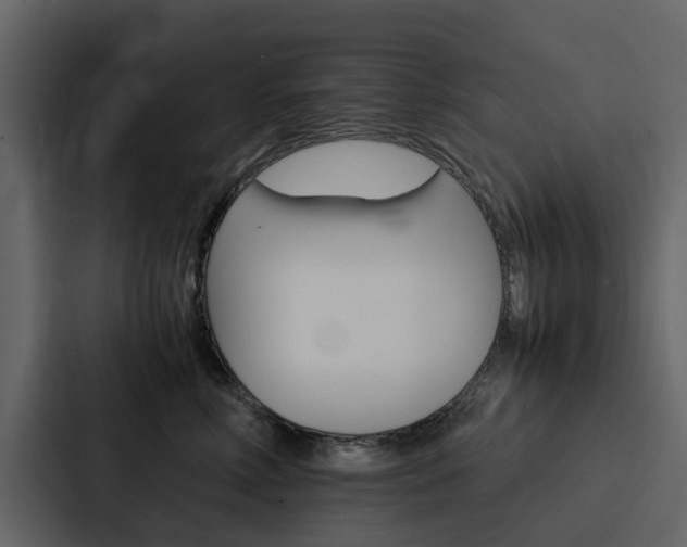 X0000088150618200705141053