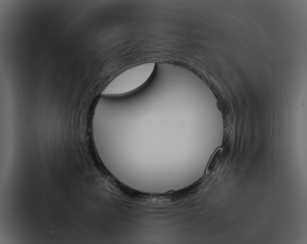 X0000088150619200705141053