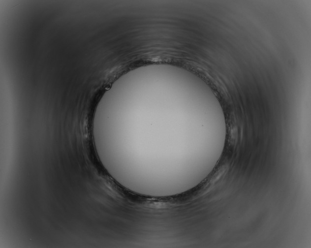X0000088150620200705141053