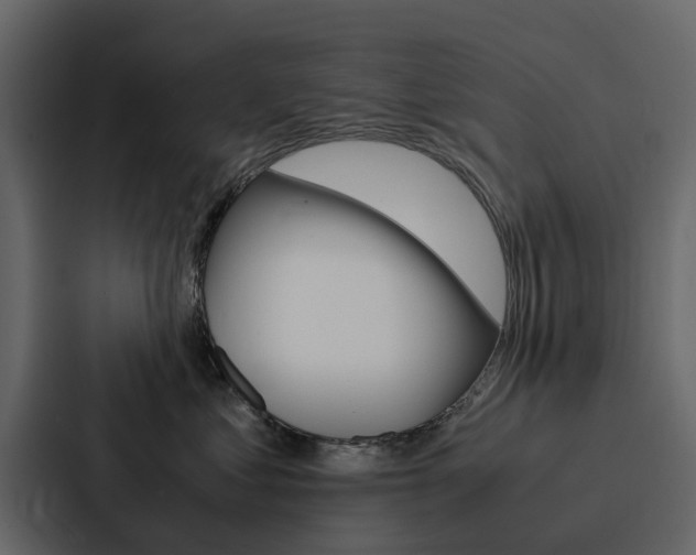 X0000088150621200705141053