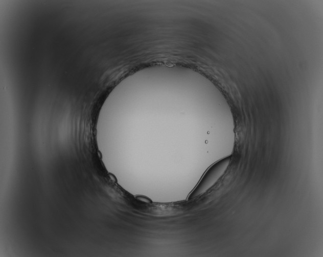 X0000088150623200705141053