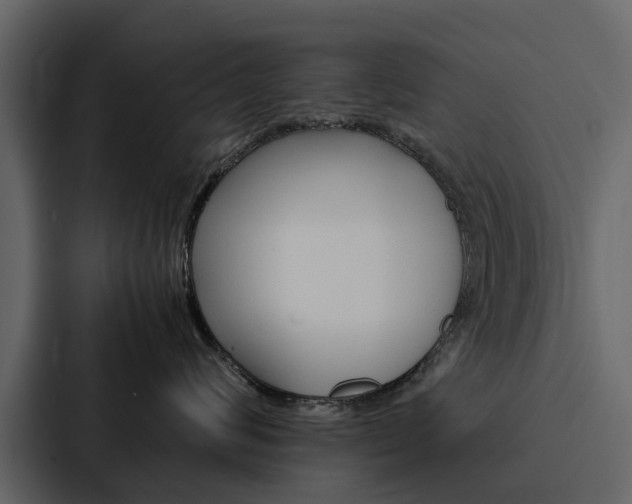 X0000088150624200705141053