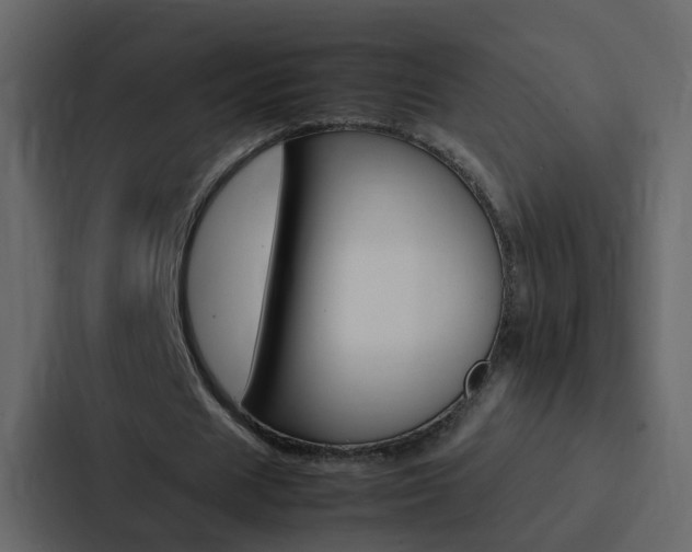X0000088150625200705141052