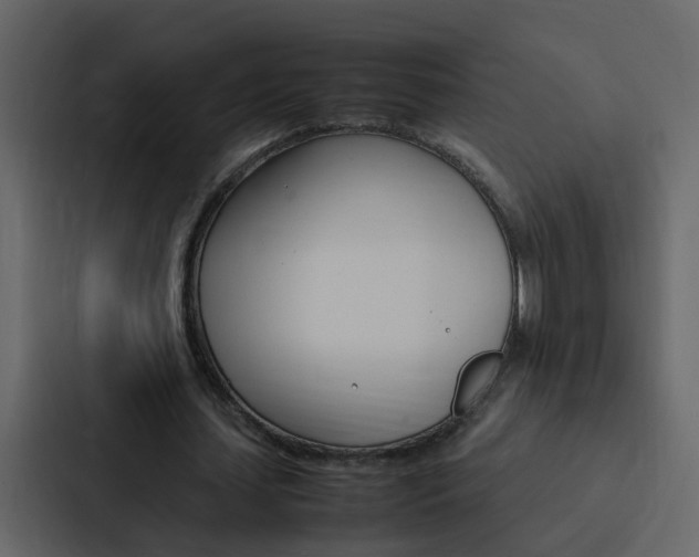 X0000088150627200705141052