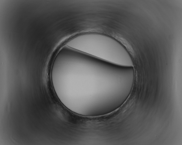 X0000088150628200705141052