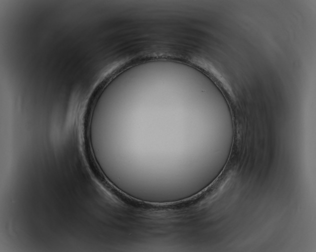 X0000088150629200705141052