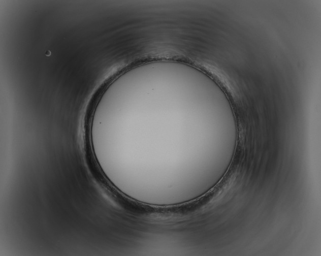 X0000088150630200705141052