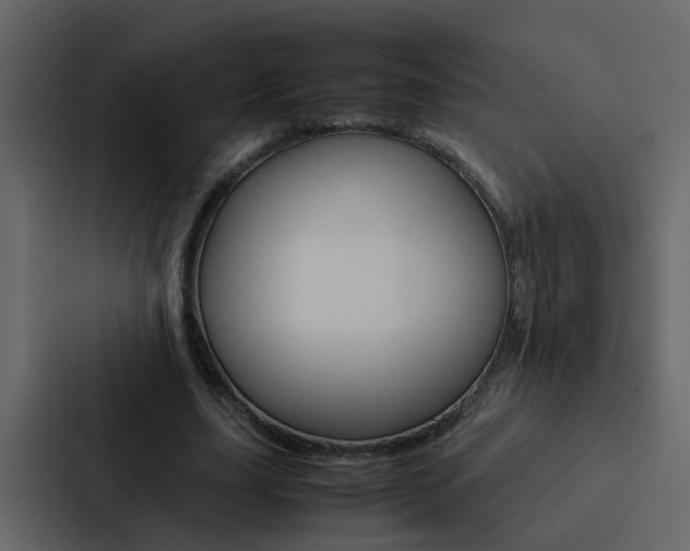X0000088150631200705141052