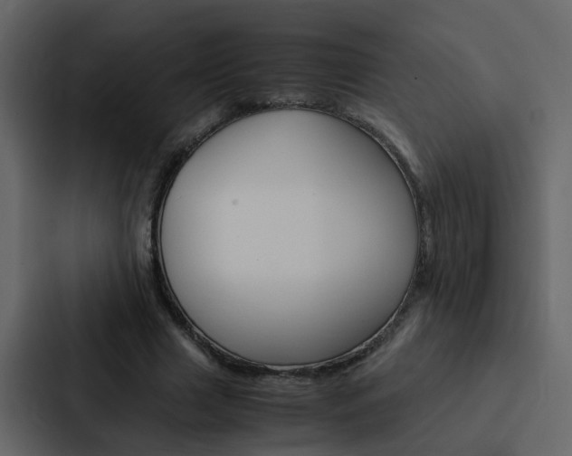 X0000088150633200705141052