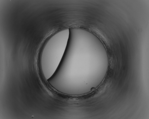 X0000088150634200705141052