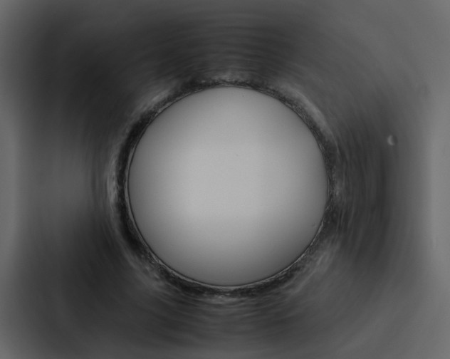X0000088150635200705141052