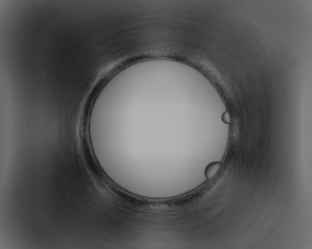X0000088150636200705141052