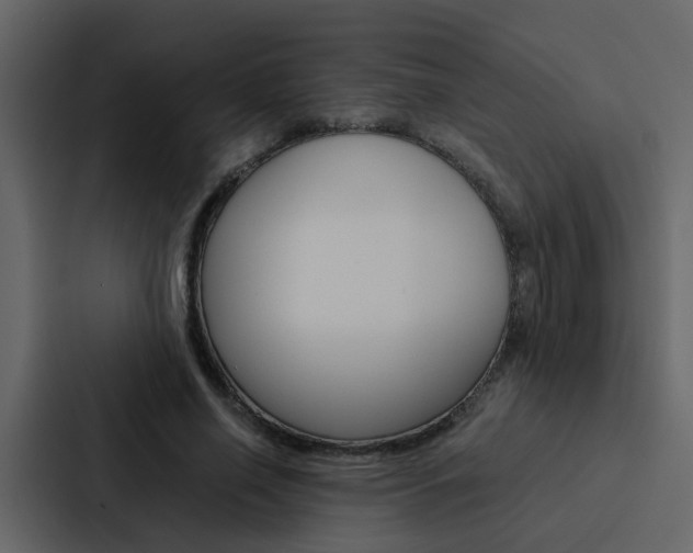 X0000088150638200705141052